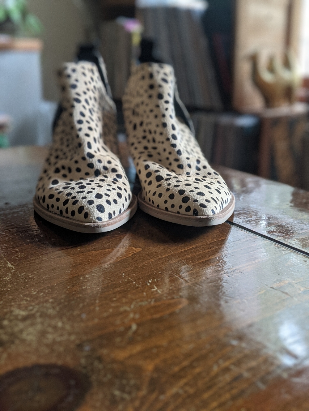 Dolce Vita Leopard Ankle Boots, size 8